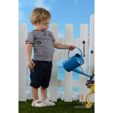 �������� Bebus, �������