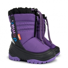 ������ TEDDY